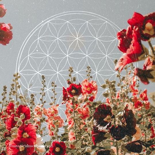 Flower of Life